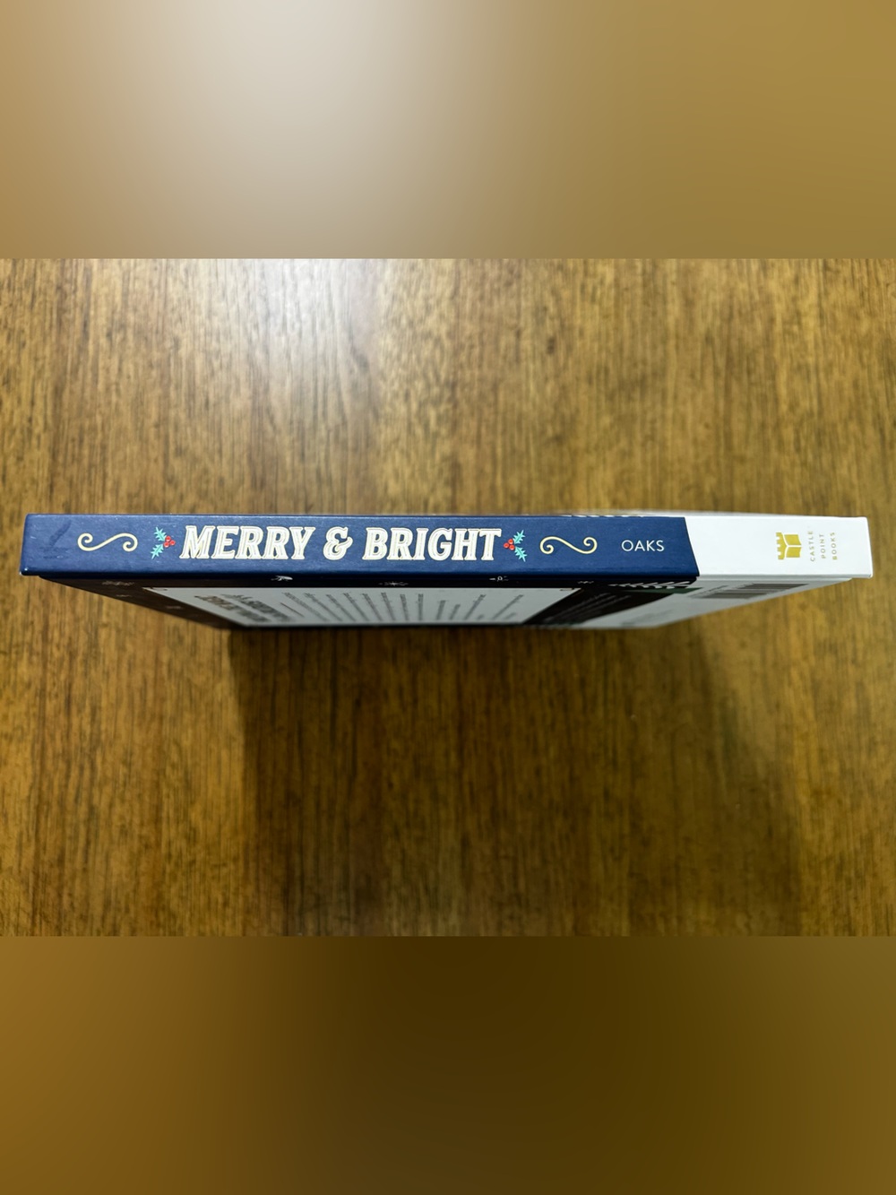 NEW Merry & Bright Holiday Keepsake Journal of Family Christmas Memories - Picture 5 of 5